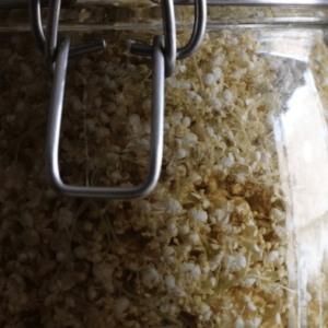 Curso online de fermentación... min