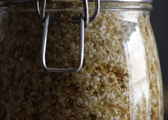 Curso online de fermentación... min